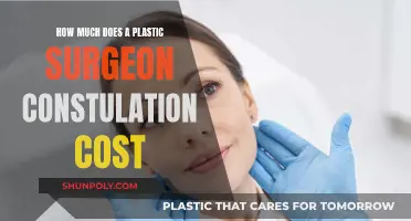 Plastic Surgeon Consultations: What's the Cost?