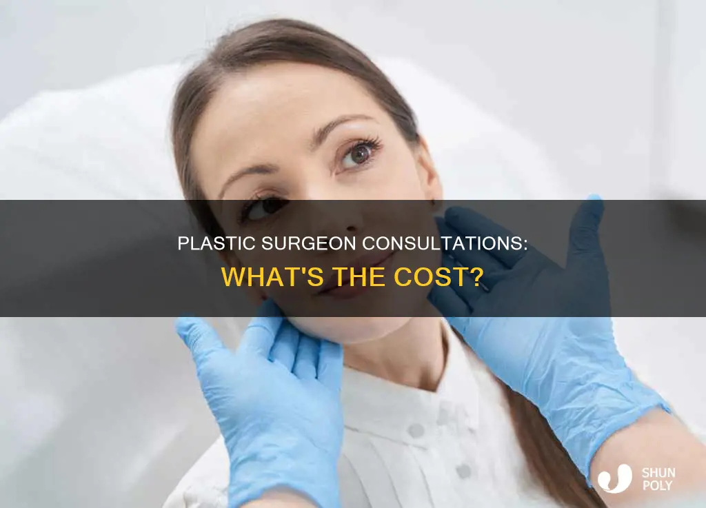 how much does a plastic surgeon constulation cost