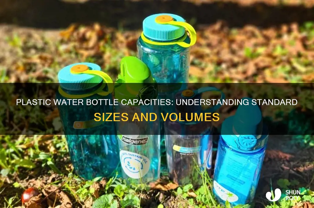 how much does a plastic water bottle hold