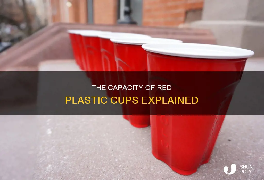 how much does a red plastic cup hold