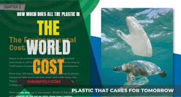 The Global Cost of Plastic: Impact and Action