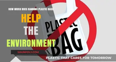 Plastic Bag Bans: Real Environmental Impact or Symbolic Gesture?