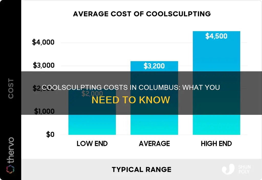 how much does coolsculpting cost in columbus dorner plastic