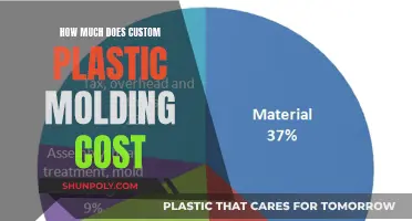 Plastic Molding Cost: Customization's Impact on Your Wallet