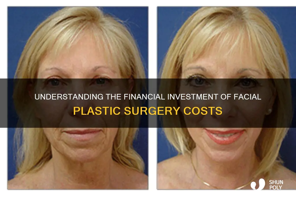 how much does face plastic surgery cost