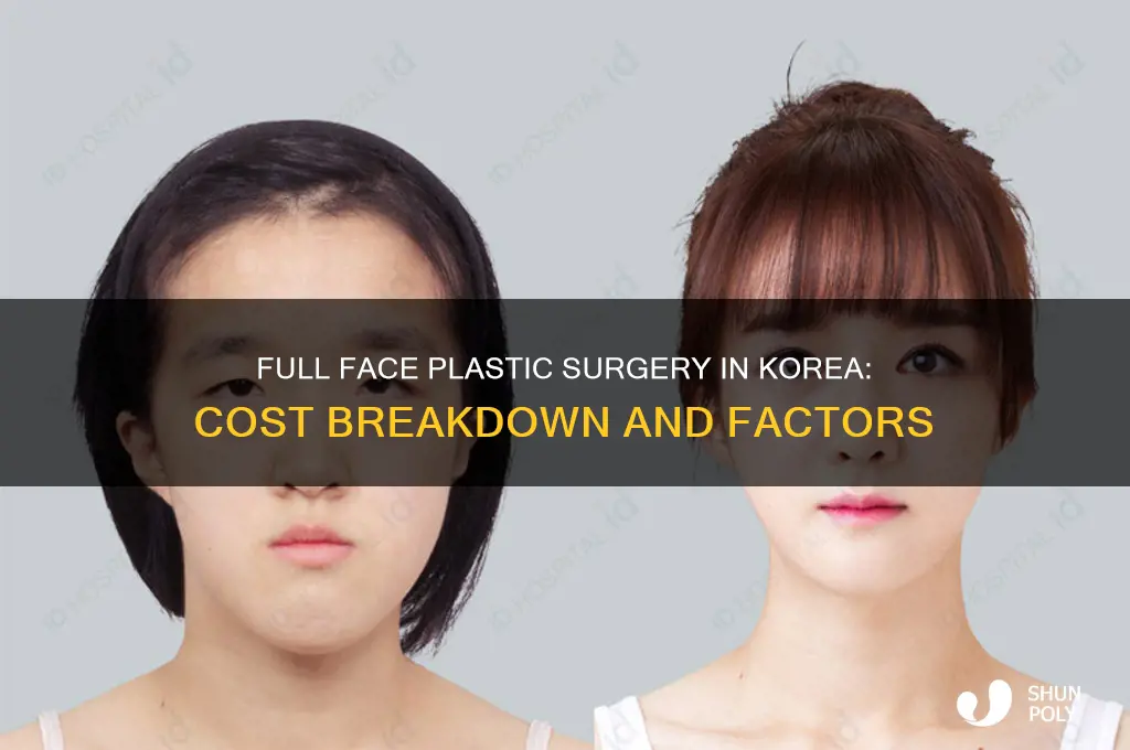how much does full face plastic surgery cost in korea