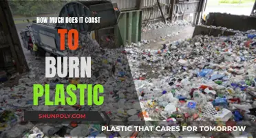 Burning Plastic: The High Cost of Environmental Damage