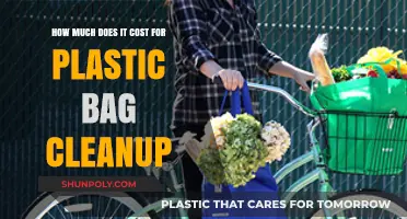 The Hidden Costs of Plastic Bag Cleanup: A Comprehensive Breakdown