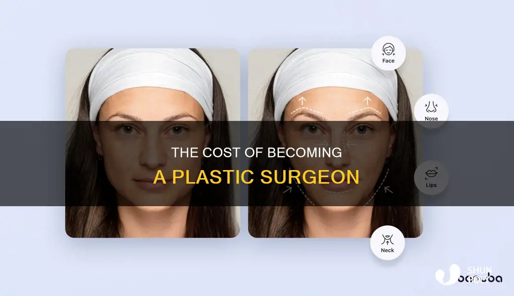 how much does it cost to be a plastic surgeon