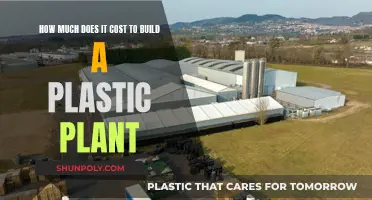 Building a Plastic Plant: What's the Cost?