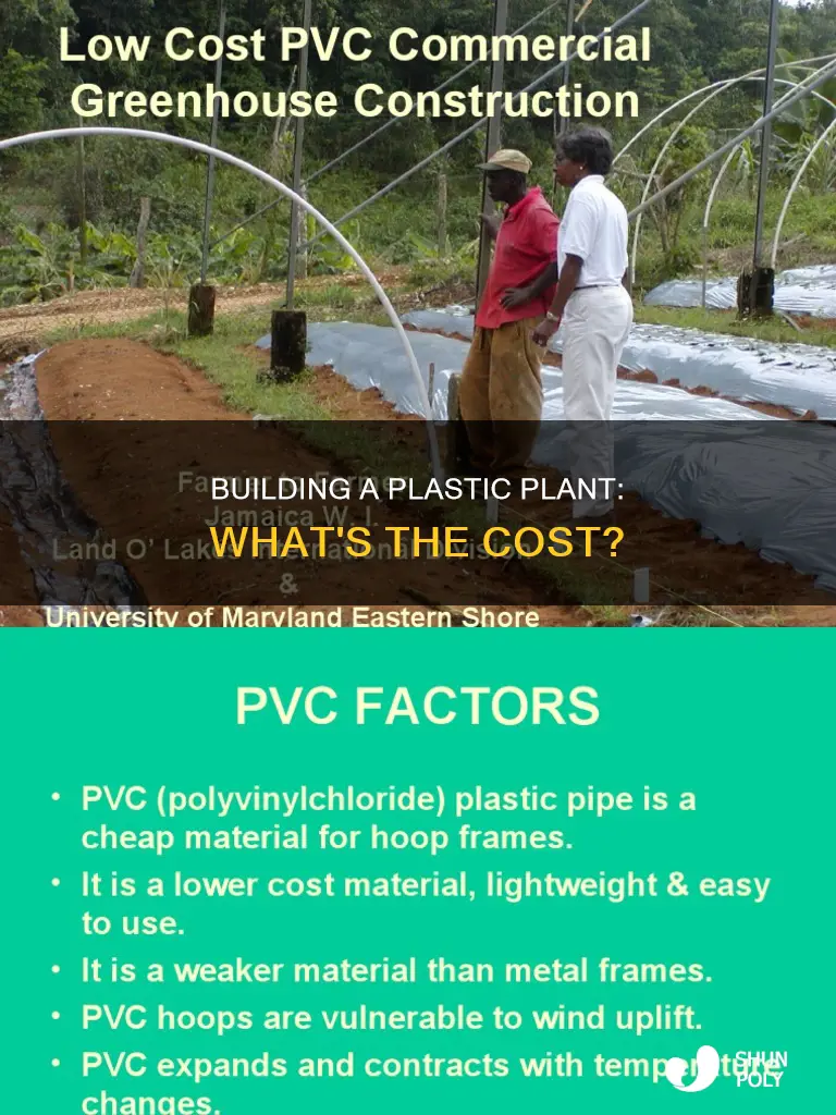 how much does it cost to build a plastic plant