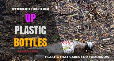 The Hidden Costs of Cleaning Up Plastic Bottle Pollution