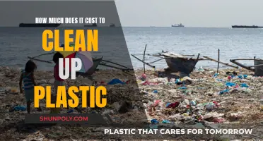 Cleaning Up Plastic Pollution: Who Pays the Price?