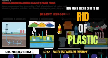 The High Cost of Removing Plastic from our Environment