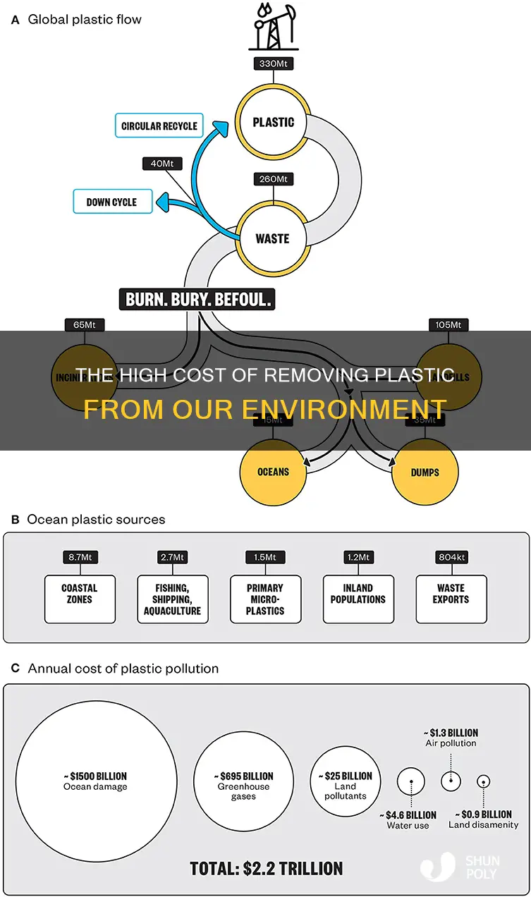 how much does it cost to get rid of plastic