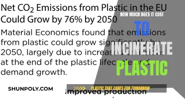 The Cost of Plastic Incineration: Expensive and Environmentally Damaging