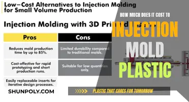 Injection Molding Costs: Understanding Plastic Molding Expenses