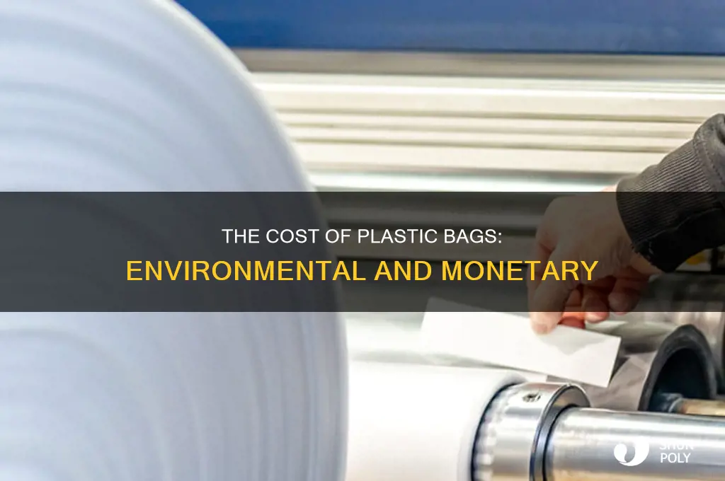 how much does it cost to make a plastic bag