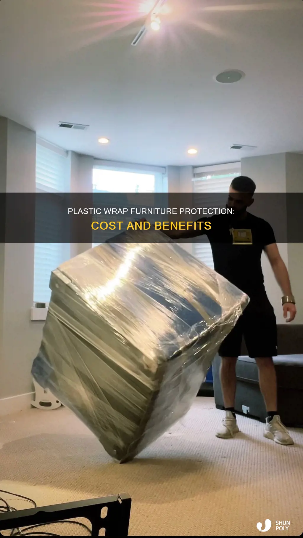 how much does it cost to plastic wrap furniture