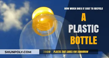 The True Cost of Recycling a Plastic Bottle: A Breakdown