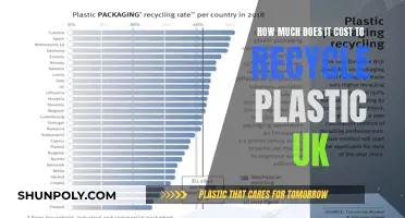 Recycling Plastic: The UK's Costly Environmental Challenge