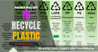 The Economics of Plastic Recycling: Costs and Benefits