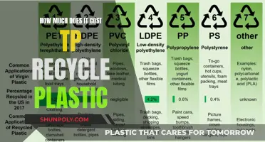 Recycling Plastic: The True Cost of Saving the Planet