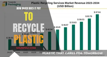 Lucrative Plastic Recycling: Making Money While Saving the Planet