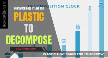 The Dark Truth: Plastic Decomposition Timeline Revealed