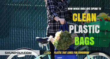NYC's Plastic Bag Cleanup Costs: A Budget Breakdown