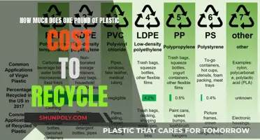 Recycling Plastic: What's the Cost per Pound?