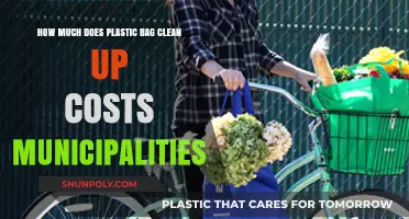 The Hidden Costs of Plastic Bag Cleanup for Municipalities
