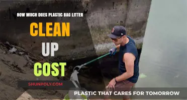 The Hidden Costs of Cleaning Up Plastic Bag Litter