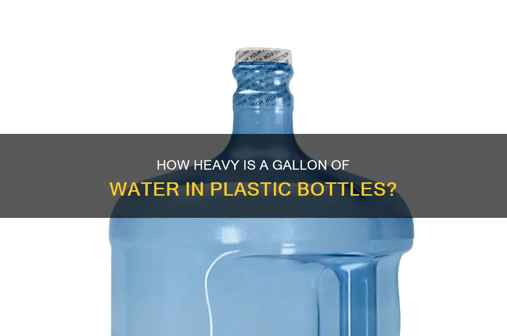 how much does plastic bottle gallon water weigh