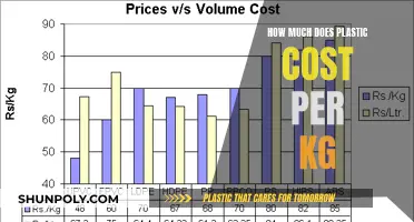 The High Cost of Plastic: Price per KG