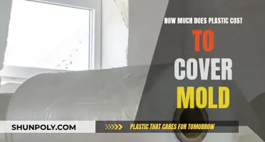 Covering Mold with Plastic: Effective Solution or Expensive Mistake?