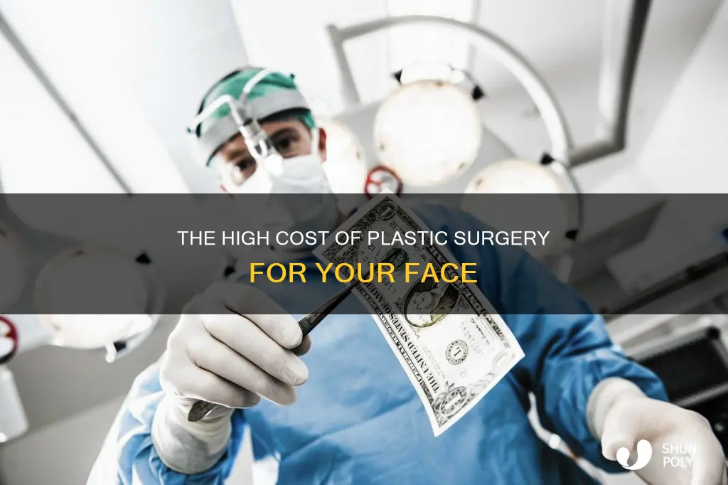 how much does plastic for your face cost