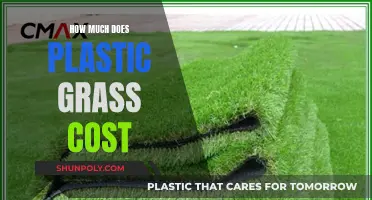 Artificial Turf: Cost of Plastic Grass Explored