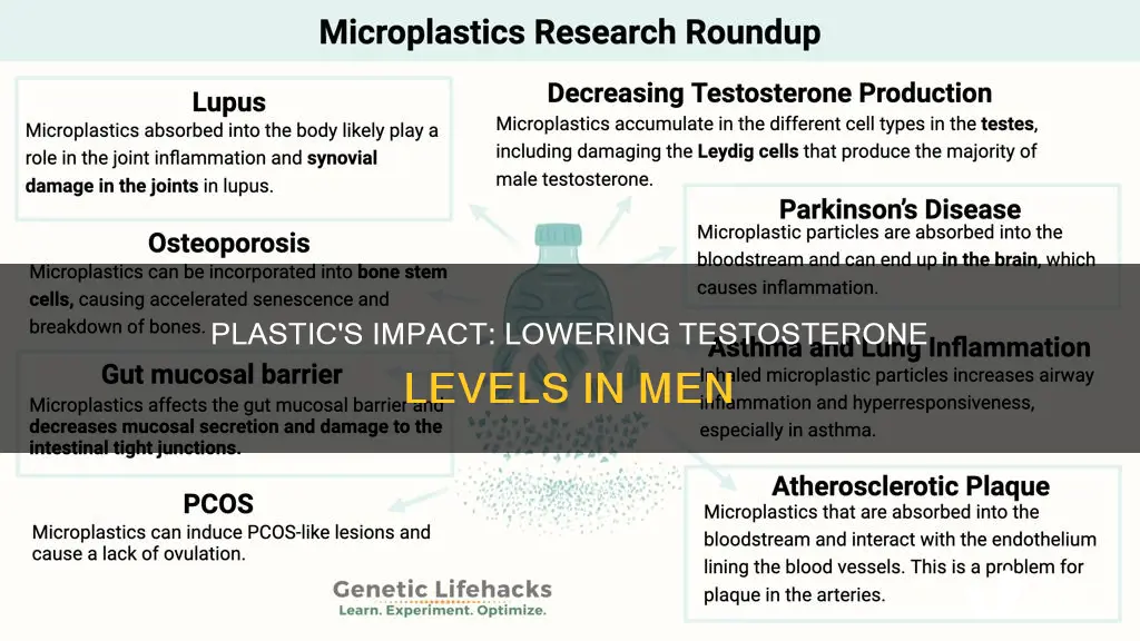 how much does plastic lower testosterone