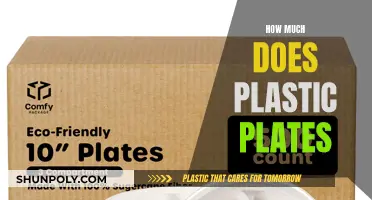 The Cost of Plastic Plates: How Much Do They Really Cost?