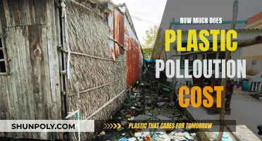 Plastic Pollution: The Costly Environmental Disaster