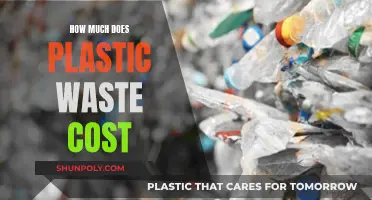 The Cost of Plastic Waste: A Global Crisis