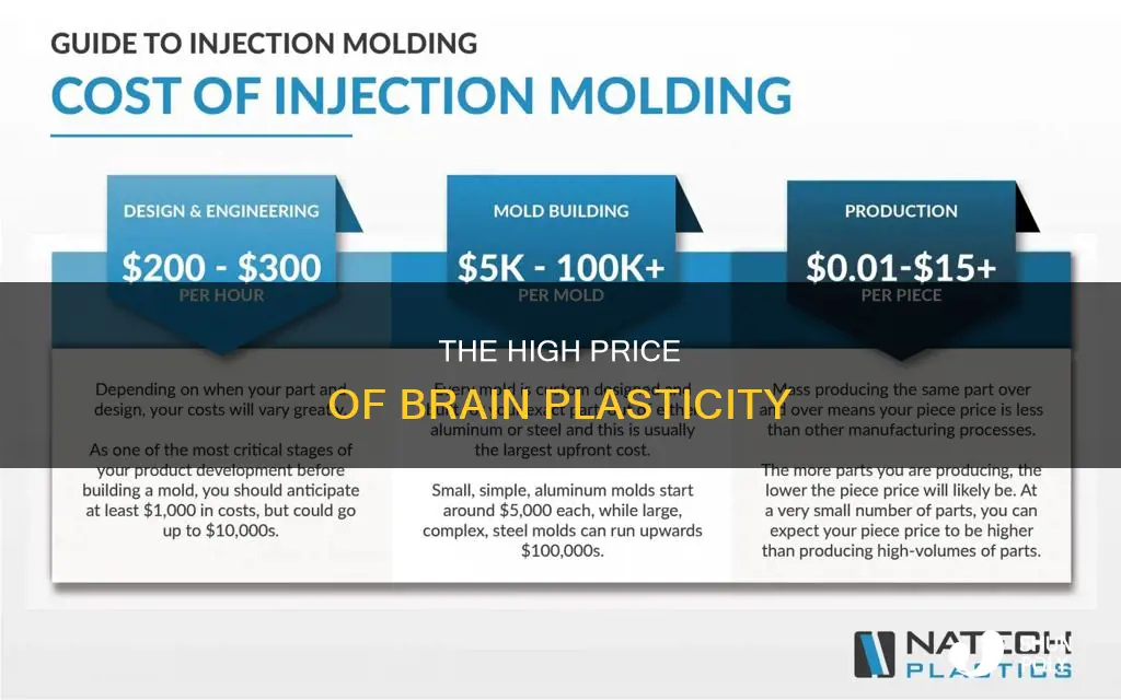 how much does plasticity cost