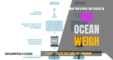 The Ocean's Plastic Burden: Weighing Environmental Disaster