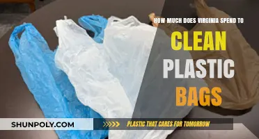 Virginia's Plastic Bag Cleanup Costs: A Financial and Environmental Breakdown