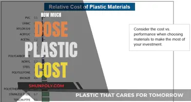 The Real Cost of Plastic: Who Pays the Price?