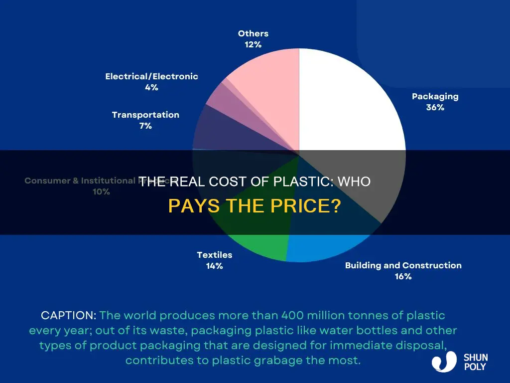 how much dose plastic cost