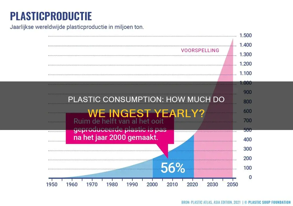 how much each person consume plastic each year