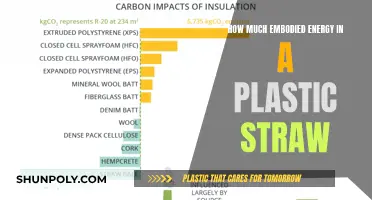 The Energy Cost of Plastic Straws