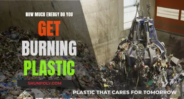 Burning Plastic: Energy Gained, Environment Drained?